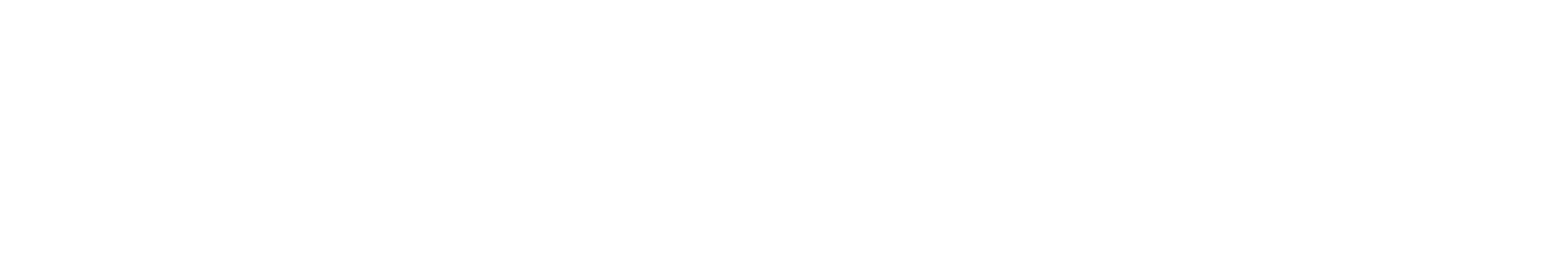 TeamTorch Logo